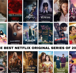 The Best Netflix Original Series of 2025